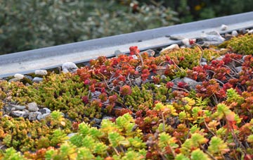 the cost of Cappercleuch green roof installation