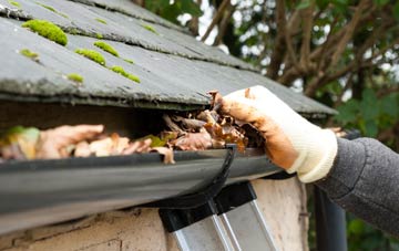 gutter cleaning Cappercleuch, Scottish Borders